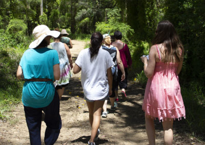 bush walking forest therapy